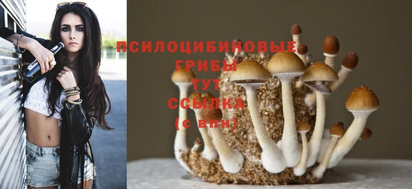 МДПВ Беломорск