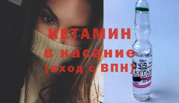 индика Белокуриха