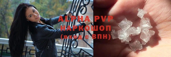 индика Белокуриха