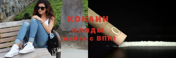 индика Белокуриха