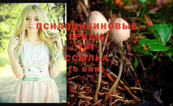 индика Белокуриха